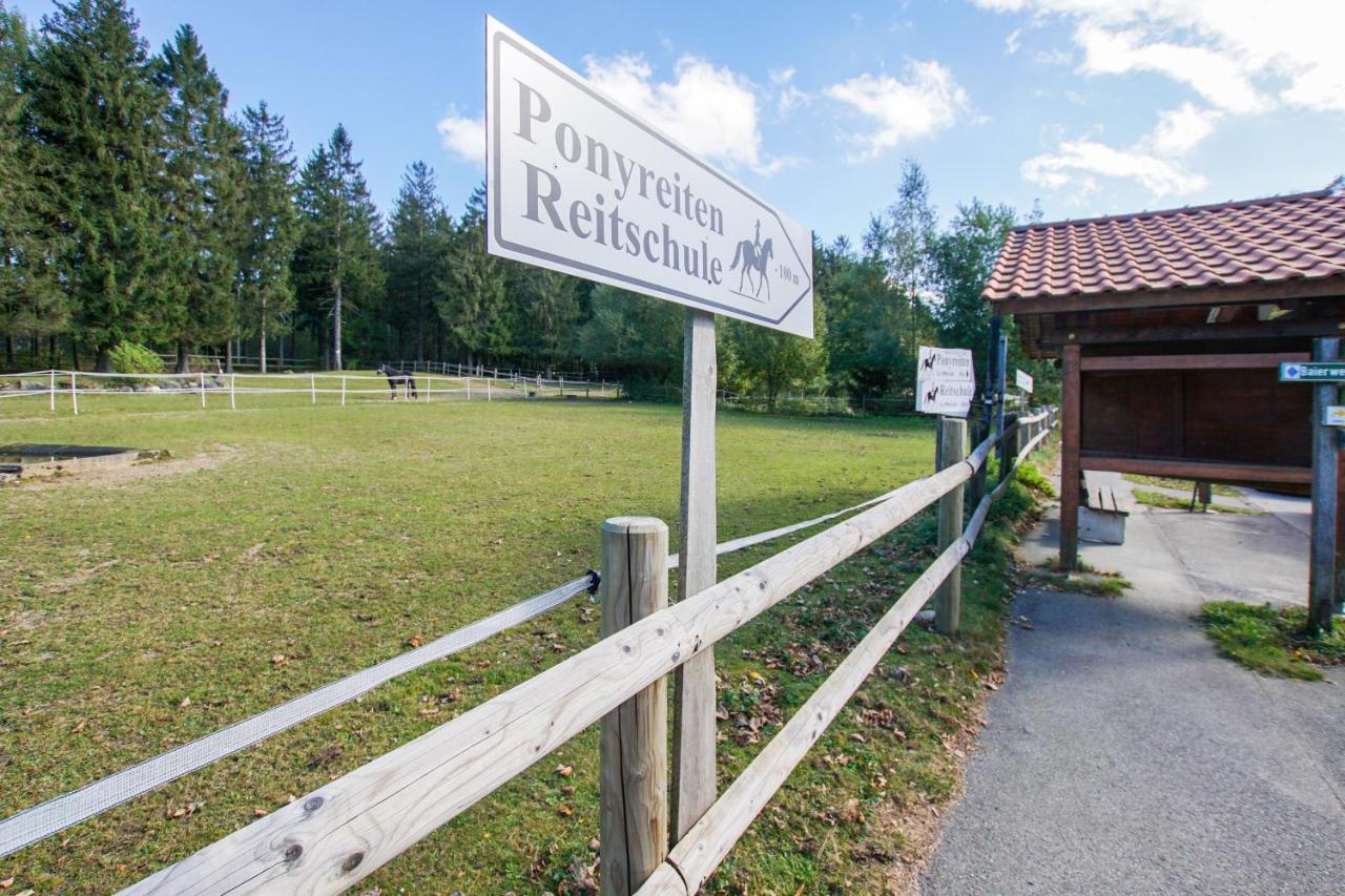 Charmante Ferienwohnung Mit Sauna Und Schwimmbad Im Zauberhaften Bayerischen Wald Sankt Englmar Exterior foto